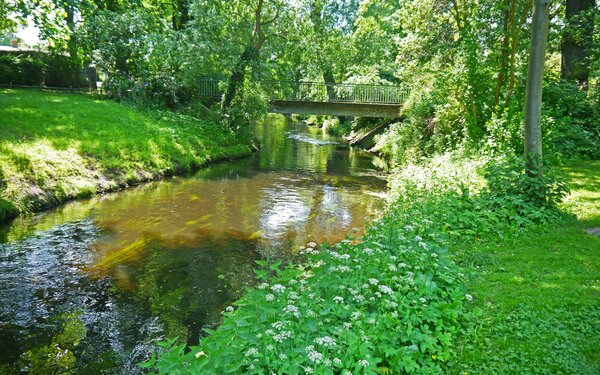 Bürgerpark entlang der Panke, Foto: Abdulrahman Barakat, Lizenz: tic