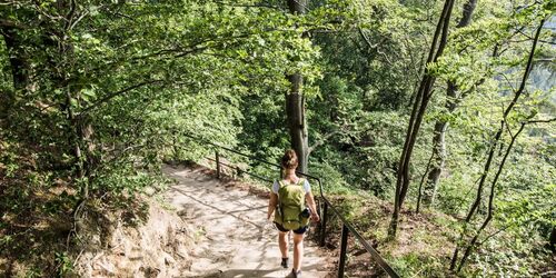 Abstieg von der Bastei, Foto: Thiel, Lizenz: Tourismusverband Sächsische Schweiz e.V.