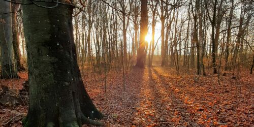 Gutspark-im-Herbst, Foto: Familie Burmester