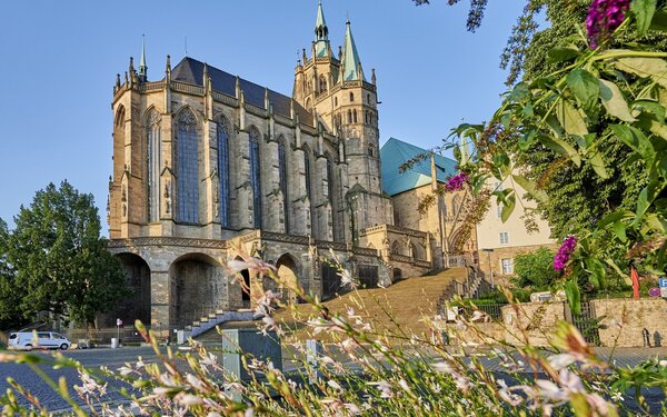 Blick auf den Erfurter Dom St. Marien, Foto: Florian Trykowski, Lizenz: Thüringer Tourismus GmbH