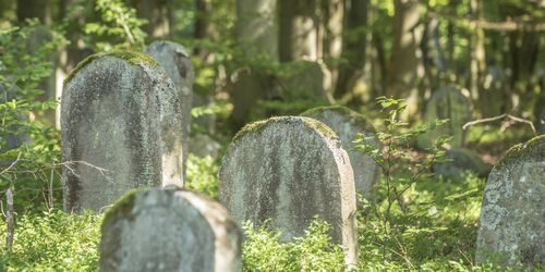 Jüdischer Friedhof Altengronau, Foto: Spessart Tourismus und Marketing GmbH