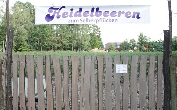 Der Garten, Foto: Heidelbeergarten Kolzenburg
