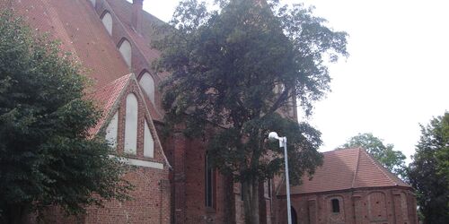 Die St. Marien Kirche in Grimmen Tourismusverband Vorpommern e.V.