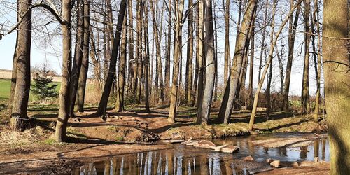 Unterwegs auf dem Sprotte-Erlebnispfad, Foto: Tourismusverband Altenburger Land e.V.