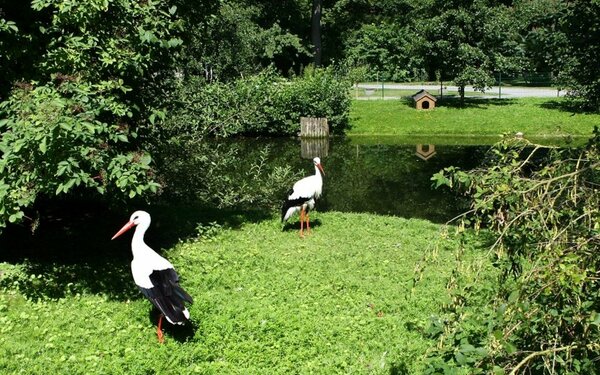 Tierpark Grimmen , Foto: Sabrina Wittkopf-Schade