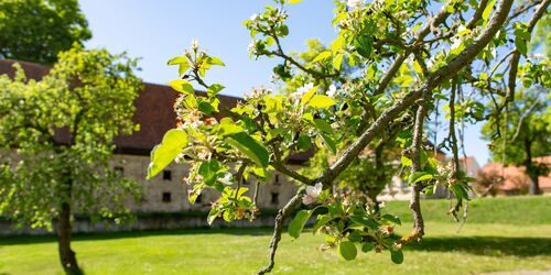 Zisterzienserkloster Lehnin, Foto: Steffen Lehmann, Lizenz: TMB Tourismus-Marketing Brandenburg GmbH