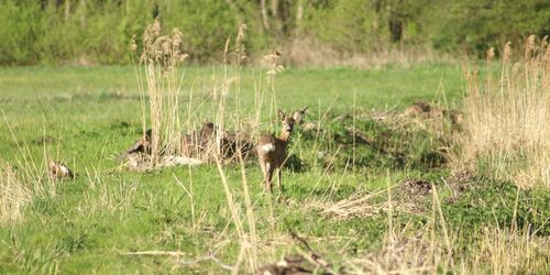 Schätze der Natur und Geschichte der Ahnen