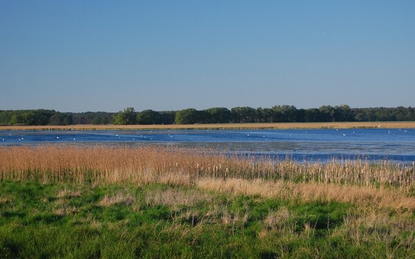 Am Rietzer See, Foto: Jan Hoffmann