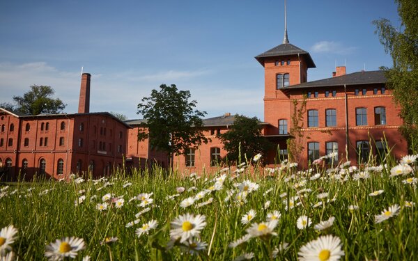 Landgut Stober - Gebäude-Ensemble mit Gutsverwalterhaus, Kornspeicher und im Hintergrund die Brennerei, Foto: Darek Gontarski, Lizenz: Landgut Stober