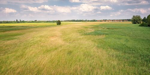 Aussichtsturm am Salzweg, Foto: Florian Läufer, Lizenz: Seenland Oder-Spree