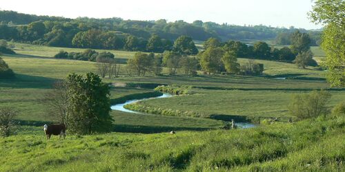 Landschaft an der Tollense, Foto: Vogel, Klotz