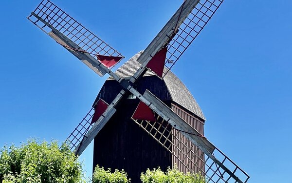 Bockwindmühle Eldena, Foto: Gudrun Koch