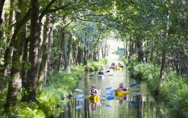 Wasserlabyrinth Spreewald, Foto: TMB-Fotoarchiv/Hahn