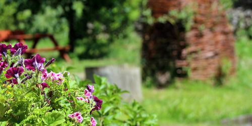 Garten, Foto: Gasthaus Kaupen No. 6