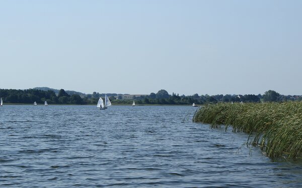 Inselsee bei Güstrow, Foto: Beate Meder-Trost