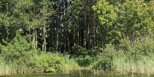 Inselsee bei Güstrow, Foto: Beate Meder-Trost