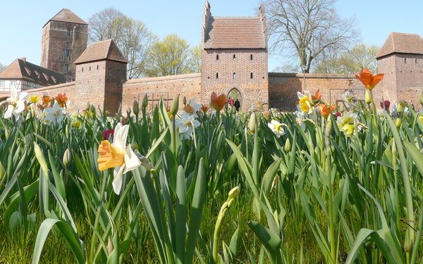 Stadtmauer mit Alter Bischofsburg, Foto: terra press Berlin