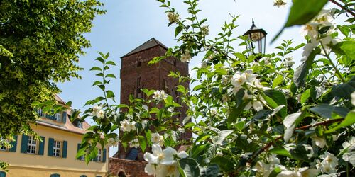 Die Bischofsburg, Foto: TMB-Fotoarchiv/Steffen Lehmann