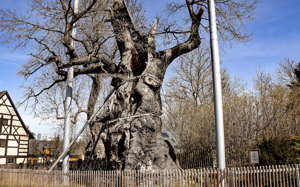 Osterbrunnen, Noebdenitz, Foto: TVAL, Mariana Graichen