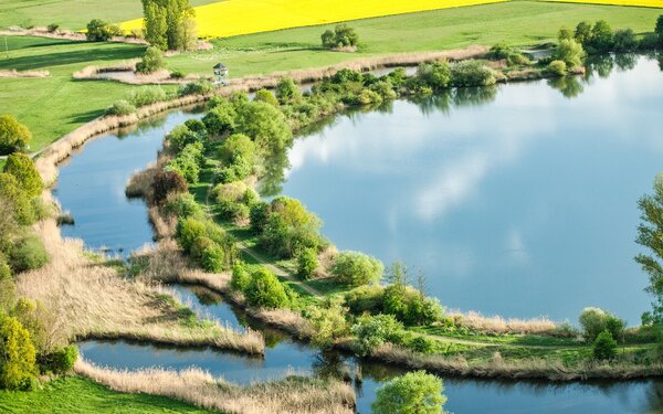 Hassfurt Mainauen, Foto: Folker Bergmann