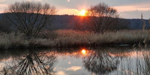 LIFE-Natur-Erlebnispfad Sonnenuntergang Mainauen, Foto: Folker Bergmann