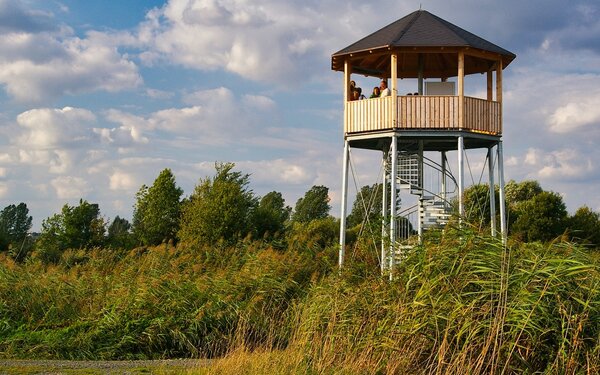 Vogelbeobachtungsturm, Foto: Hassberge Tourismus e.V.