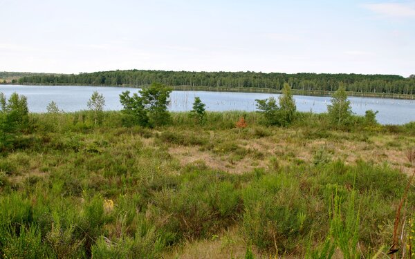 Uferbereich Holzweißiger Ostsee , Foto: Astrid Welk, Lizenz: DBU Naturerbe