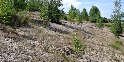 Zoeckeritzer Hoehe , Foto: Astrid Welk, Lizenz: DBU Naturerbe