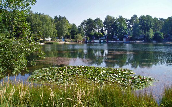 Waldsee Bad Erna Westteich Elbe-Elster, Foto: Amt Elsterland