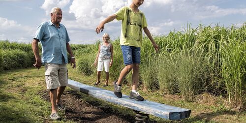 Rundtour am schönen Main bei Waigolshausen