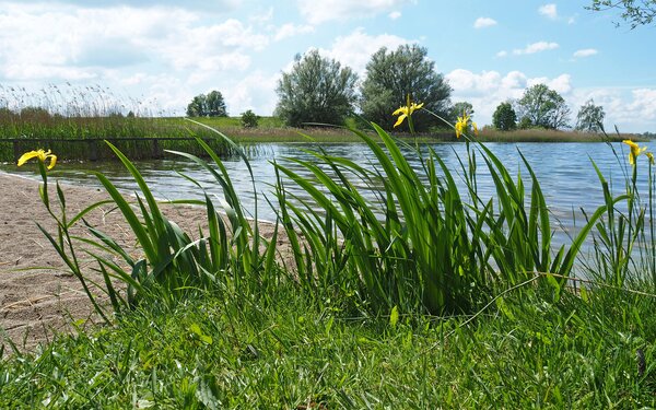 Tempziner See,  NP Sternberger Seenland