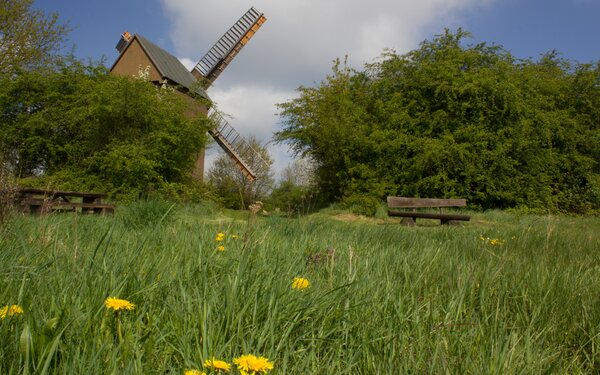 Bockwindmühle Borne, Foto: Bansen/Wittig