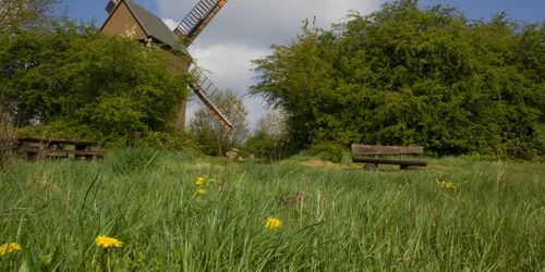 Bockwindmühle Borne, Foto: Bansen/Wittig