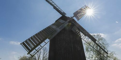 Bockwindmühle in Borne, Foto: TMB-Fotoarchiv/Steffen Lehmann