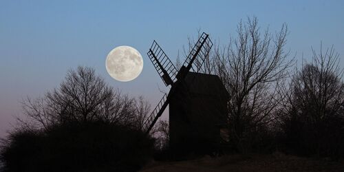 Vollmond über der Bockwindmühle Borne, Foto: Dirk Fröhlich, Lizenz: Naturparkverein Hoher Fläming e.V.