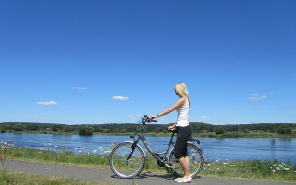 Auf dem Oder-Neiße-Radweg, Foto: Seenland Oder-Spree/Sandra Ziesig