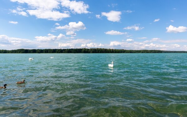 Werbellinsee, Foto: TMB-Fotoarchiv/Steffen Lehmann