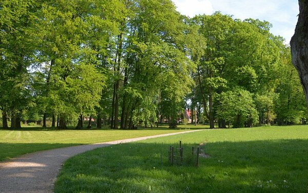 Blick in den Landschaftspark Tourismusverband Mecklenburg-Schwerin