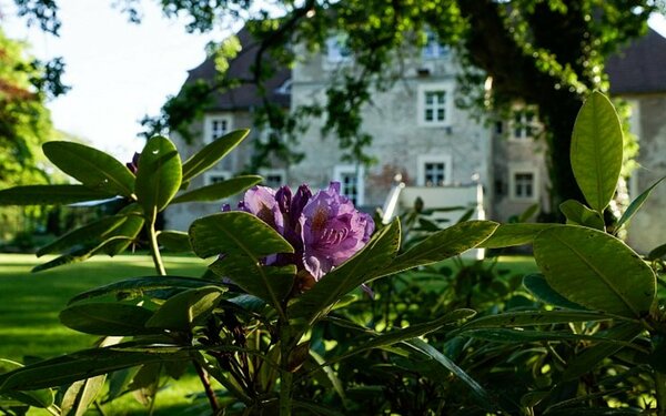 Wasserschloss_Mellenthin-20130523-171924-i020-p0024_980x553 FREEDESIGN media agentur Martin Wittmann