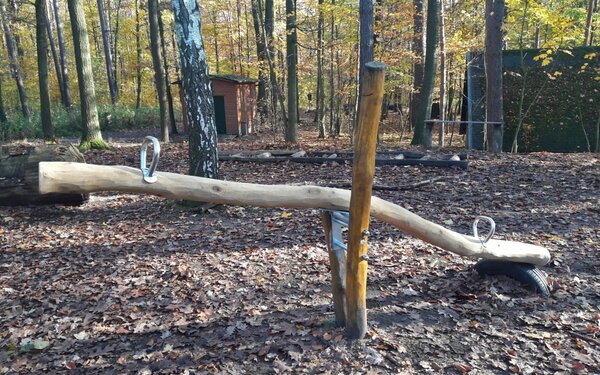 Waldspielplatz, Foto: Waldspielplatz Albertpark Dresden, Holm Vogel