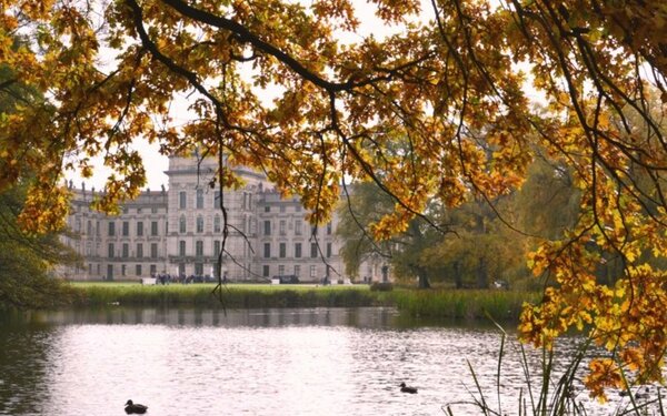 Herbst Ludwigslust Schlosspark Baum Teich Tourismusverband Mecklenburg-Schwerin