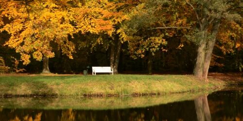 Herbst Ludwigslust Schlosspark Bank Herbst Tourismusverband Mecklenburg-Schwerin