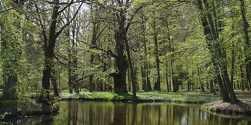 Ludwigslust Schlosspark Fruehling Tourismusverband Mecklenburg-Schwerin