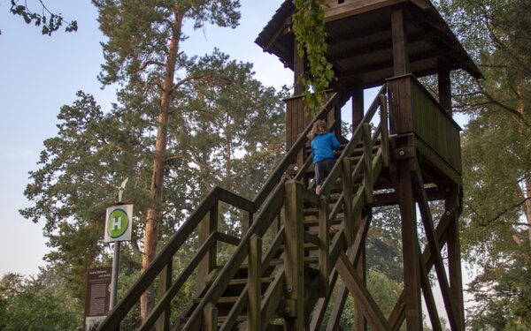 Vogelbeobachtungsturm bei Rambow im Rambower Moor, Foto: TMB-Fotoarchiv/ScottyScout