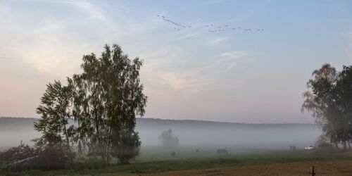 Weite Landschaft des Rambower Moors, Foto: TMB-Fotoarchiv/ScottyScout