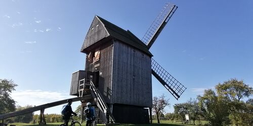 Fahrradfahrer vor der Bockwindmühle, Foto: Jannika Olesch, Lizenz: Tourismusverband Ruppiner Seenland e. V.