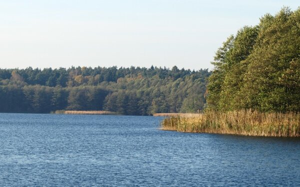 Rundwanderung Wolletzsee im Herbst, Foto: TV Angermünde e.V.