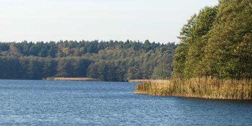 Strandbad am Urwaldrand bei Angermünde