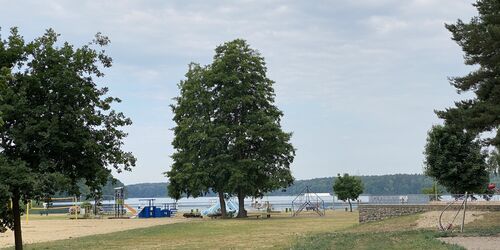 Gelände Strandbad Wolletzsee, Foto: Alena Lampe