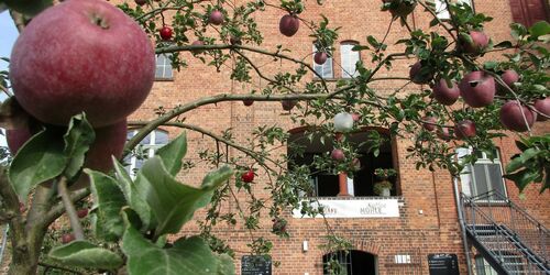 Muehlenwirtschaft und Cafe Mühle in Lychen, Foto: Anet Hoppe